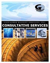 Consultative Srvs brochure cover